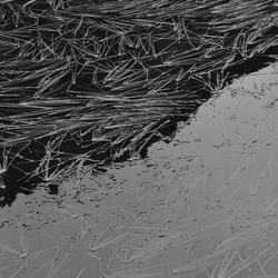 2019-08 Savoie/La Tuile/DSC_1259.JPG